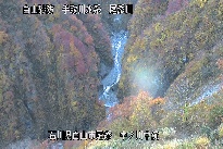 中ノ川中流 のカメラ画像