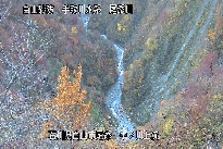 中ノ川上流 のカメラ画像