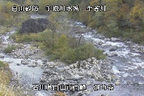 河内谷 のカメラ画像