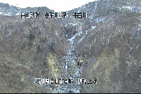 柳谷上流 のカメラ画像