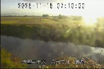 猫橋 のカメラ画像