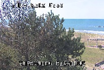 根上海岸 のカメラ画像