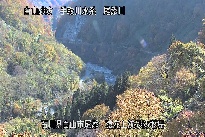 猿花 のカメラ画像