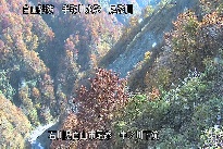 中ノ川下流 のカメラ画像