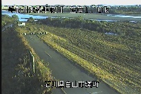 湊町 のカメラ画像