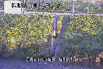 埴田 のカメラ画像