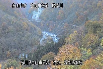 猿花 のカメラ画像