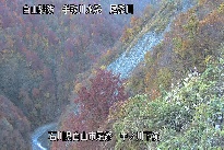 中ノ川下流 のカメラ画像