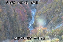 中ノ川中流 のカメラ画像