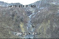 柳谷上流 のカメラ画像