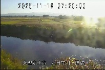 猫橋 のカメラ画像