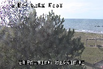 根上海岸 のカメラ画像