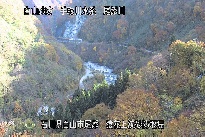 猿花 のカメラ画像