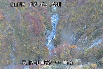 中ノ川中流 のカメラ画像