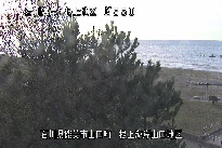 根上海岸 のカメラ画像
