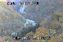 猿花 のカメラ画像