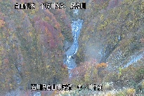 中ノ川中流 のカメラ画像