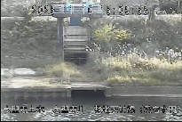 敷地天神橋(愛宕水門) のカメラ画像