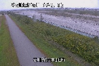 山田 のカメラ画像