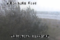 根上海岸 のカメラ画像