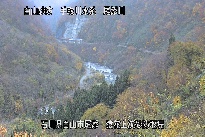 猿花 のカメラ画像