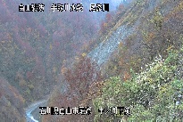 中ノ川下流 のカメラ画像