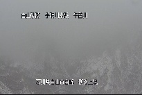 柳谷上流 のカメラ画像