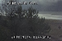 根上海岸 のカメラ画像