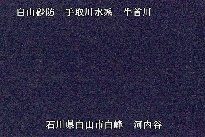 河内谷 のカメラ画像