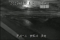 長池 のカメラ画像