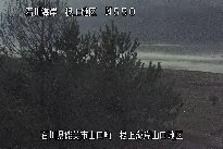 根上海岸 のカメラ画像