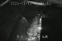 坂尻 のカメラ画像