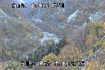 猿花 のカメラ画像