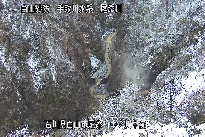 中ノ川中流 のカメラ画像