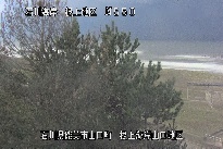 根上海岸 のカメラ画像