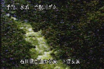 東二口 のカメラ画像