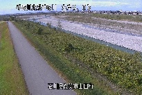 山田 のカメラ画像