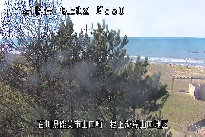 根上海岸 のカメラ画像