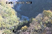 猿花 のカメラ画像