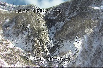 柳谷上流 のカメラ画像