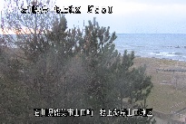 根上海岸 のカメラ画像