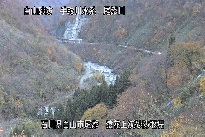 猿花 のカメラ画像