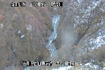 中ノ川中流 のカメラ画像