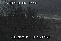 根上海岸 のカメラ画像