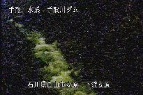 東二口 のカメラ画像