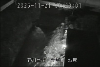 坂尻 のカメラ画像