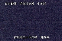 河内谷 のカメラ画像