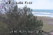 根上海岸 のカメラ画像