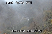 猿花 のカメラ画像