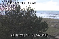 根上海岸 のカメラ画像